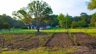 Syntropic Agroforestry Project on the Farm || Phase 1