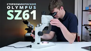 Обзор микроскопа Olympus SZ61