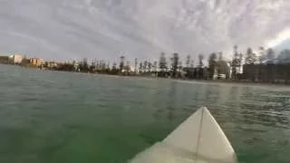 GoPro: Серфер заснял на камеру GoPro встречу в воде с белой акулой