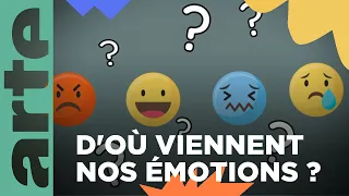 Comment naissent nos émotions ? | Vos questions | ARTE Family