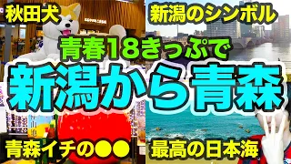 【新潟→弘前】冬の日本海を電車でのぞむなら、このルートが最強【青春18きっぷ】