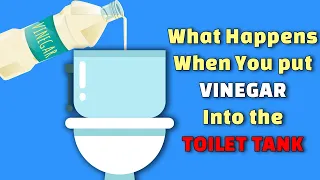 Watch What Happens When You put Vinegar Into the Toilet Tank | Health information #Healthpedia