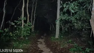 Wurkkos HD15R Headlamp - Walking around in dark forest on a rainy day