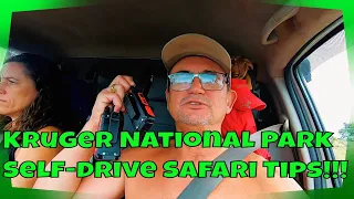 Self-drive safari in Kruger National Park Tips