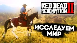 RED DEAD REDEMPTION 2 - ИССЛЕДУЕМ МИР, ОХОТА НА ЖИВОТНЫХ, ПРОХОЖДЕНИЕ СЮЖЕТА #2