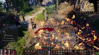 Everburn Blade & Grease Combo - Baldur's Gate 3 (EA/Patch5)