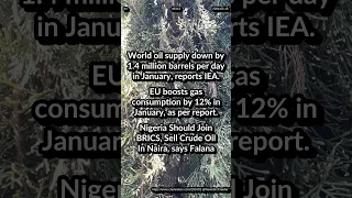 World oil supply -1.4M barrels/d. EU gas consumption by 12%. Nigeria Join BRICS Sell Oil In Naira