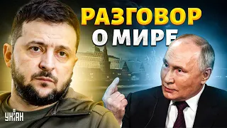 Переговоры с Путиным? В Кремле заговорили о мире. Киев назвал свои условия: Москва в тупике