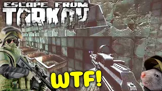 Escape from Tarkov - Best Highlights & EFT WTF, Funny Moments #123