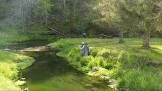 Fishing the Driftless Area | Minnesota Bound