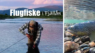 Flugfiske i Fjällån - En fiskeresa med Anders och Anders