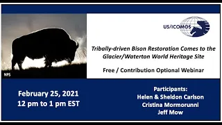 Tribally-Driven Bison Restoration Comes to Glacier - World Heritage Webinar