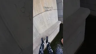 I will settle the score next time🤬💦 #water #parkour #fail