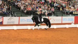 Charlotte Dujardin on Braggo (now Bastiaan 510) at Equitana 2014 teaching him flying changes.