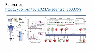 SARS-COV-2: Spike Protein and vaccine inefficacies #Code 56