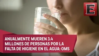 Punto y coma: El agua, mitos y realidades