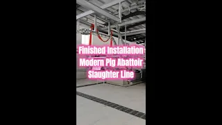 Inside Look at Modern Pig Abattoir Slaughter Line Hog Slaughterhouse Equipment List Pork Processing