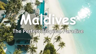 Maldives Vacation - The Perfect Tropical Paradise - A Must-See Travel Experience