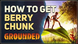 How to get Berry Chunk Grounded