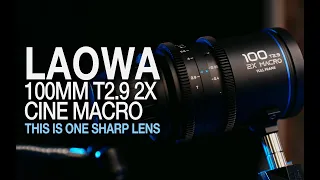 LAOWA 100MM T2.9 2X CINE MACRO Review - This lens is great!