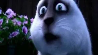 Over the Hedge - STELLAAAAAAA !!!!!