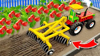 Top diy tractor making mini disc Harrows blade machinery | diy mini tomato farming | HaiPhong Mini
