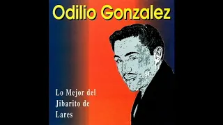 Lo Mejor de Odilio Gonzalez