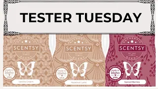 (Chatty) TESTER Tuesday Vanilla Cream, Hazelnut Latte and Spiced Berries (Scentsy Reviews) # 185