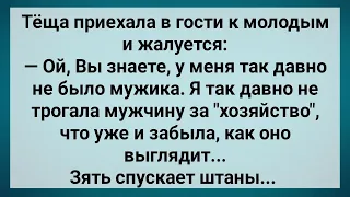 Теща Давно не Трогала Мужское Хозяйство! Сборник Свежих Анекдотов! Юмор!