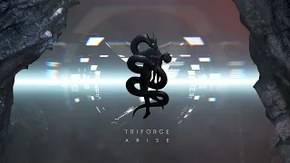 Triforce - Armoured Wombat