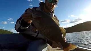 PA Bass Fishing - Raystown Lake with Surprise Tiger Musky!