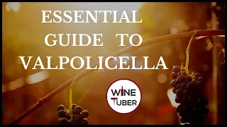 Valpolicella Wines Explained | What is Valpolicella? @WineTuber