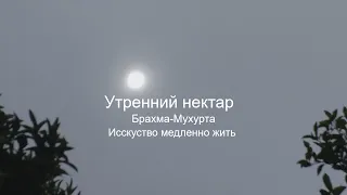 Рано утром просыпаться. Утренний нектар Брахма-Мухурта Ведическая мудрость о раннем подъёме