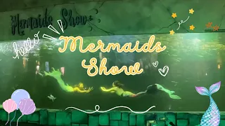 Amazing ✨ Mermaids Show at Ocean Dream Samudera Ancol Jakarta ✨