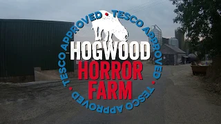 Hogwood Pig Farm 2018