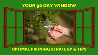 PRUNING SEASON  - The 90 Day Window | DIY Landscaping