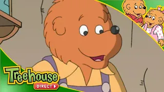 Berenstain Bears Father's Day Special | Best of Papa Bear PART 2