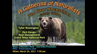 The Bear Necessities, Grizzly Edition; Tyler Brasington