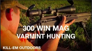 300 WIN MAG Varmint Hunting