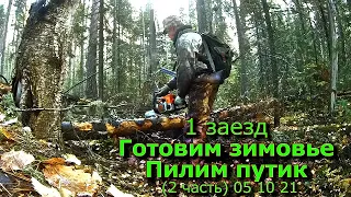 1 заезд Заезжаем Готовим зимовье Пилим путик (2 часть) 05 10 21