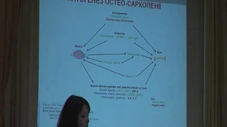 Гериатрические ортопедические синдромы: саркопения и остеопения (Дзерович Н.И. д.м.н., Киев)