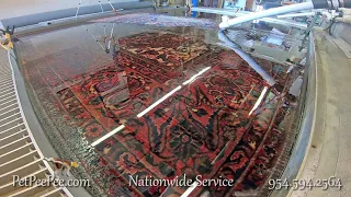 The Natural Oriental rug cleaning