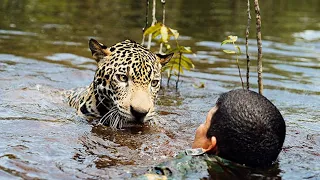 The SWAT Team Risked Saving the Drowning Jaguar, but what Happened Next was Horror!