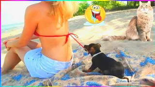 Funniest Animals | Funny Dog And Cat 😍🐶😻 | Funny Animals Video #171