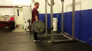 Romanian Deadlifts - 225 x 8