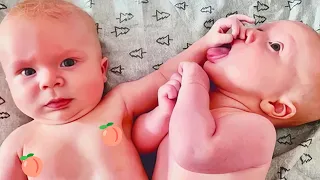 Try Not To Laugh Impossible - Funniest Twin Baby Moments | BABY BROS