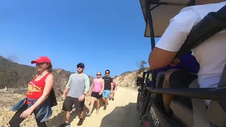 Safari tour Catalina island 2018