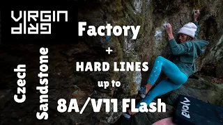 Czech Sandstone & hard flashes up to V11