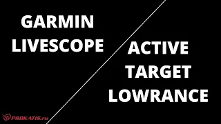 ОПЯТЬ ОНИ! Garmin VS Lowrance. LIVESCOPE vs ACTIVE TARGET.Эхолоты для рыбалки. Зимняя рыбалка