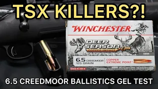 BARNES TSX KILLERS?! 6.5 Creedmoor Winchester Copper Impact 125gr Ammo Test